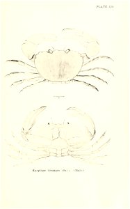 n908_w1150