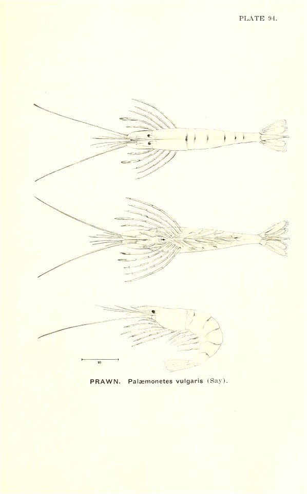 n848_w1150