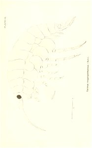 n788_w1150