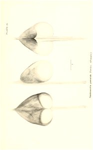 n698_w1150