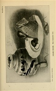 n306_w1150