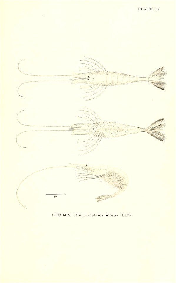 n846_w1150