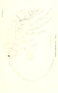 n786_w1150