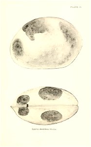 n696_w1150