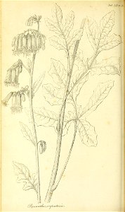 n161_w1150