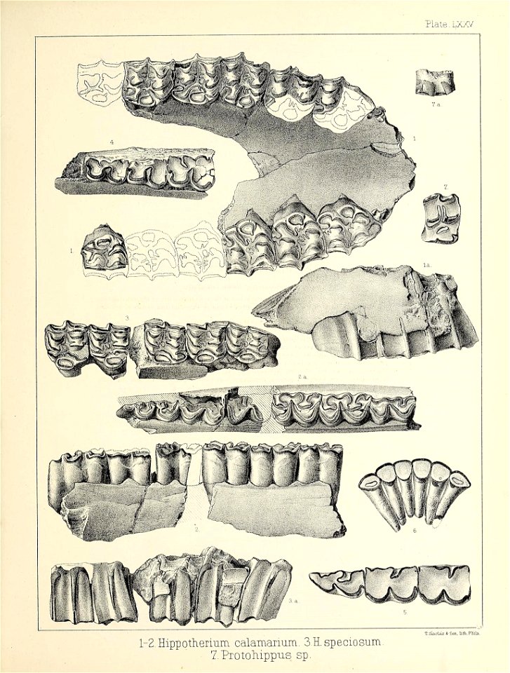 n616_w1150