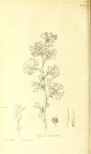n403_w1150