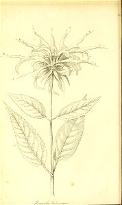 n57_w1150