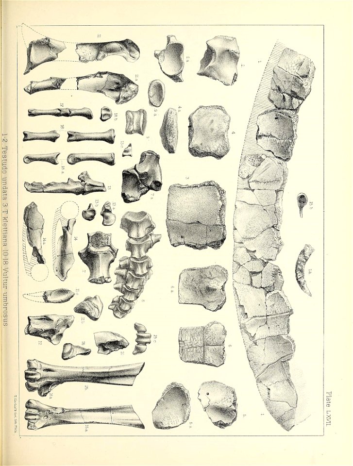 n580_w1150