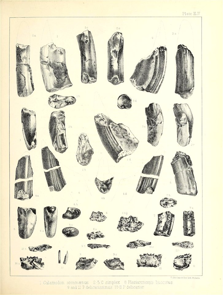 n488_w1150