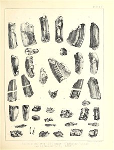 n488_w1150