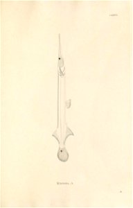 n478_w1150
