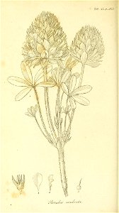 n133_w1150