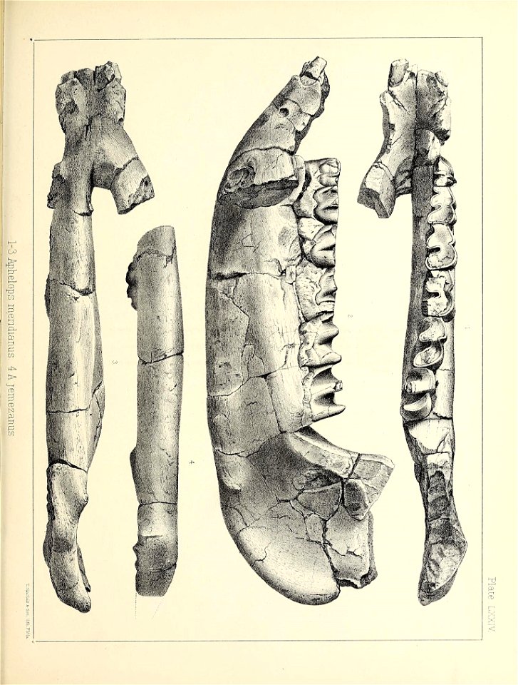 n612_w1150