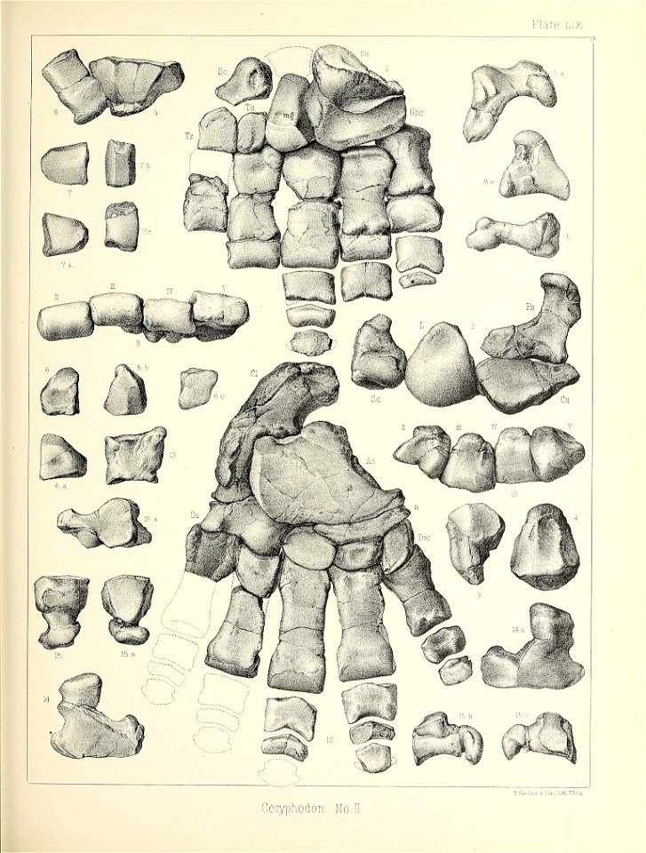 n548_w1150