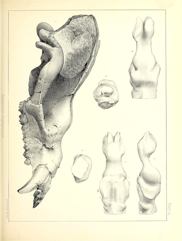 n516_w1150