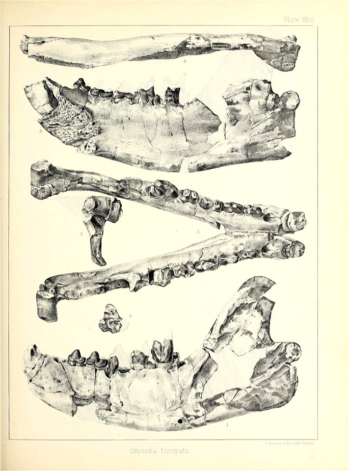 n456_w1150