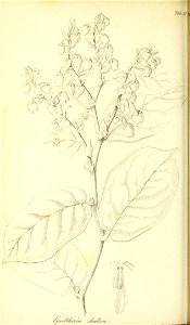 n349_w1150