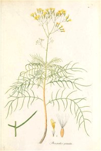 n206_w1150