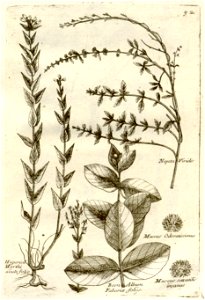 n297_w1150
