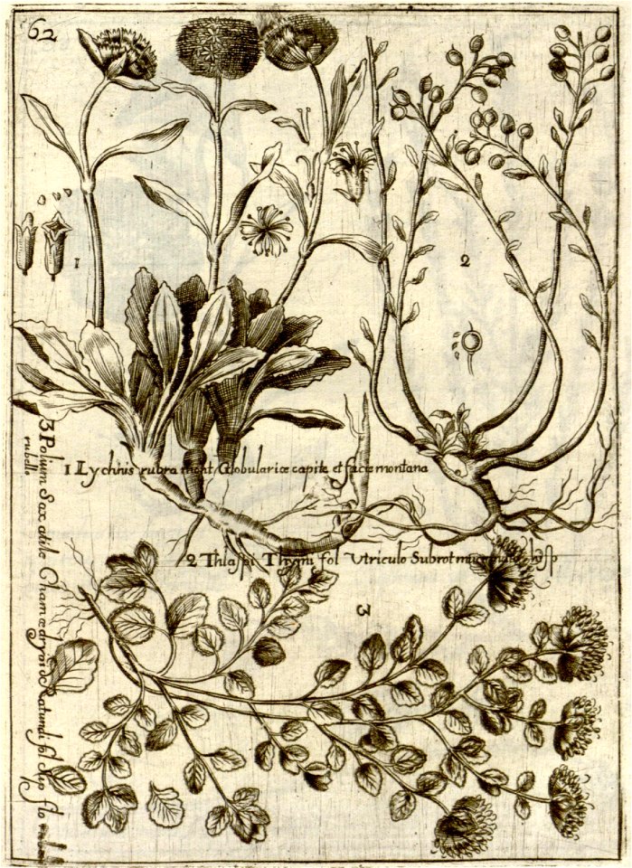 n267_w1150