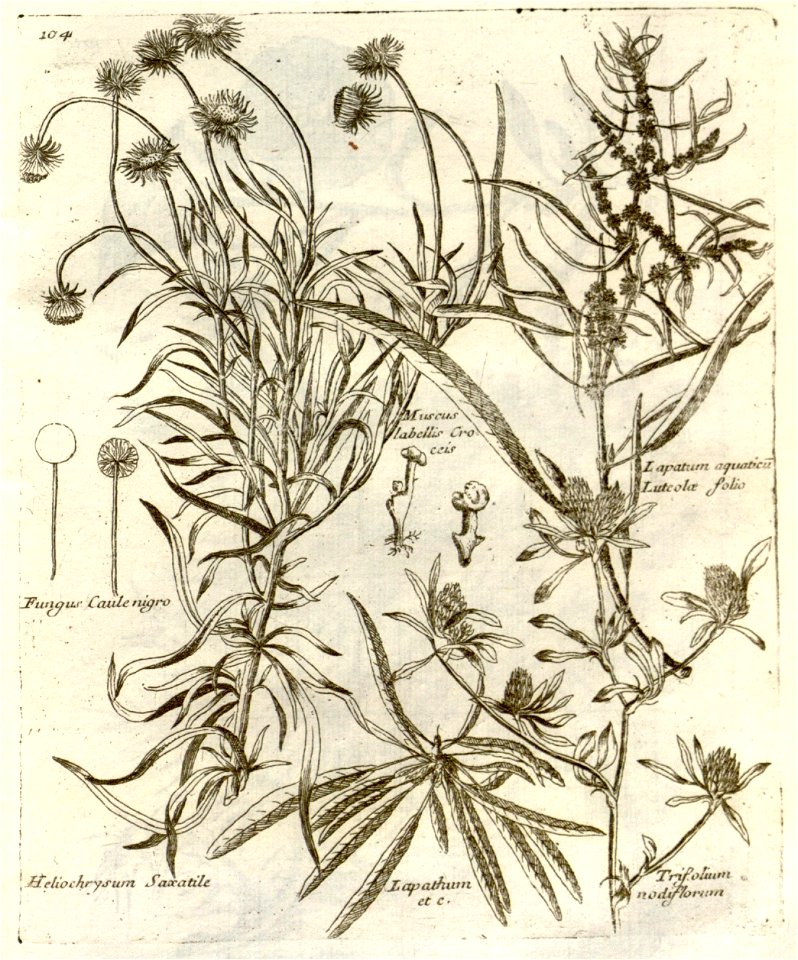 n309_w1150