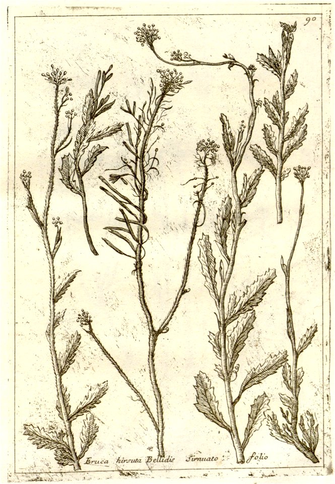 n295_w1150