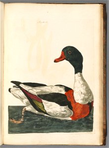 n370_w1150