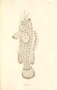 n390_w1150