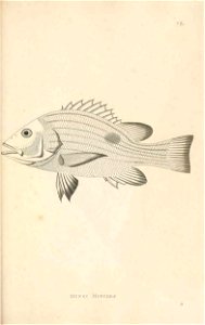 n360_w1150