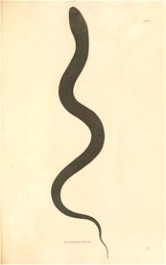 n148_w1150