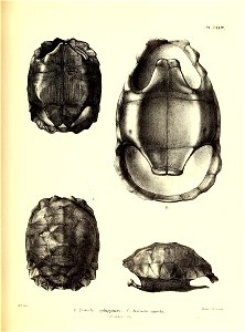 n188_w1150