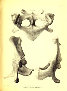 n148_w1150