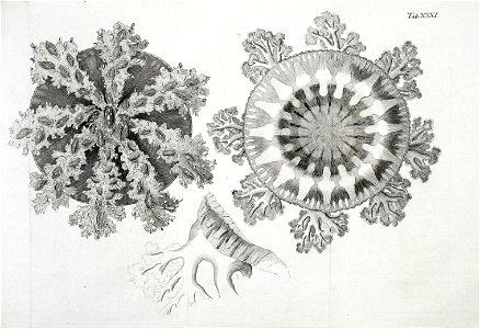 n158_w1150