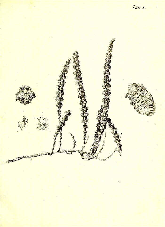 n38_w1150
