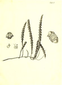 n38_w1150