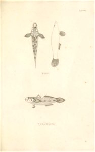 n176_w1150