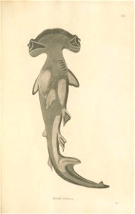 n116_w1150