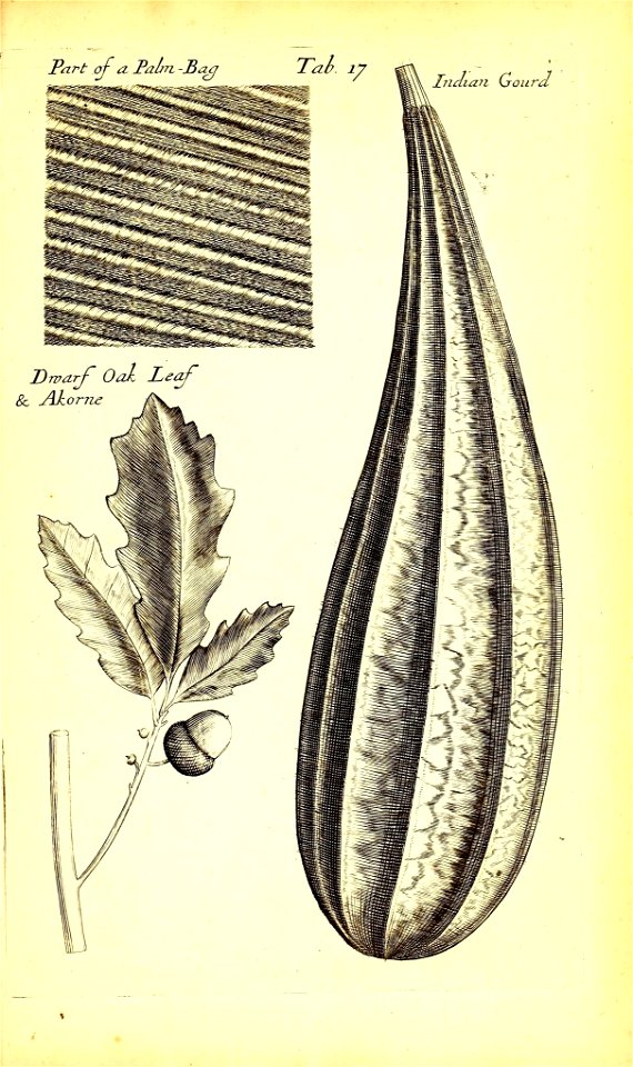 n492_w1150
