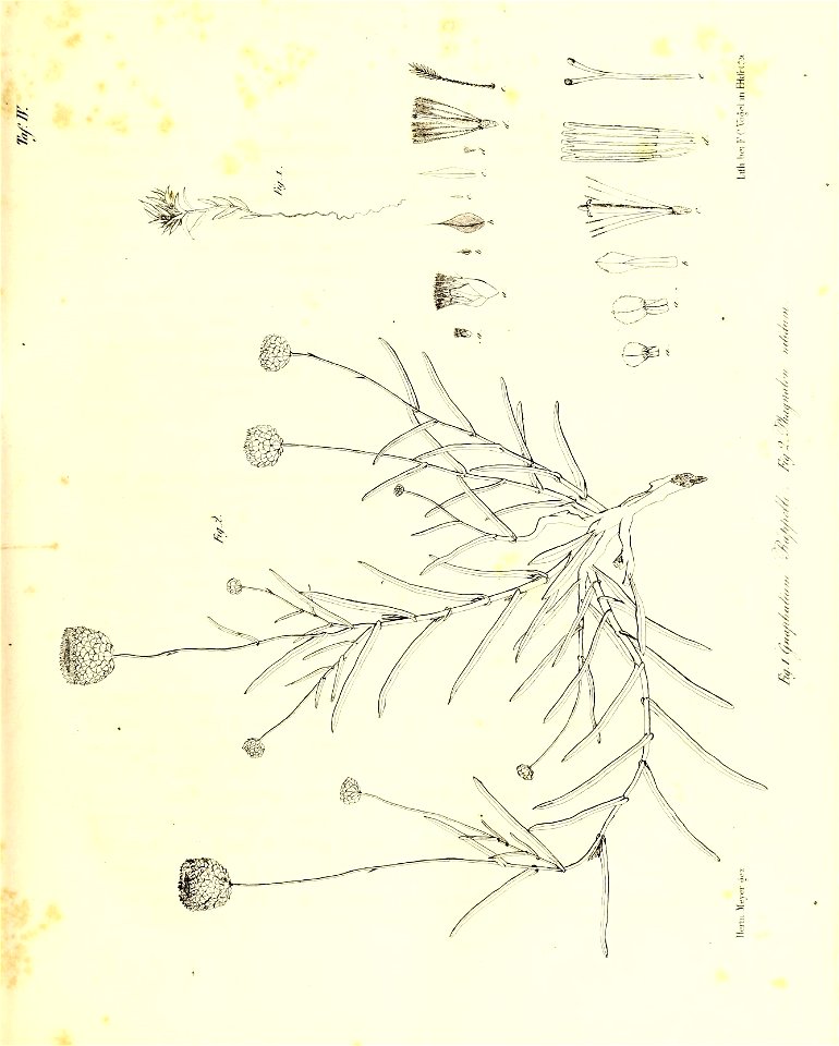 n102_w1150