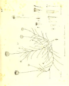 n102_w1150