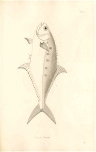 n416_w1150