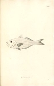 n356_w1150