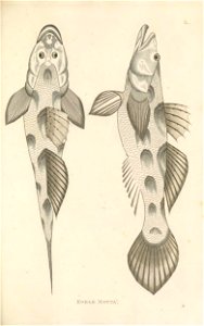 n174_w1150