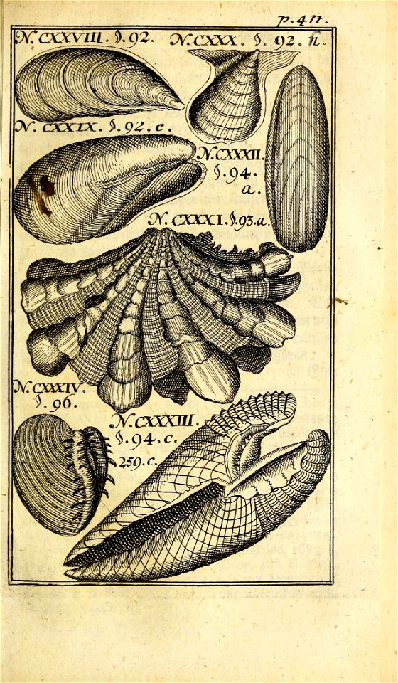 n458_w1150