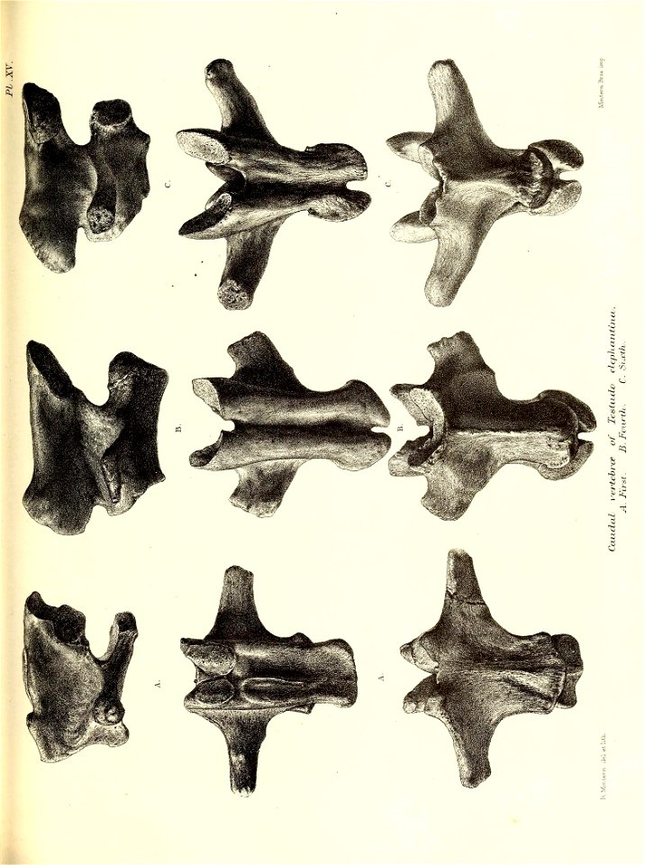 n142_w1150