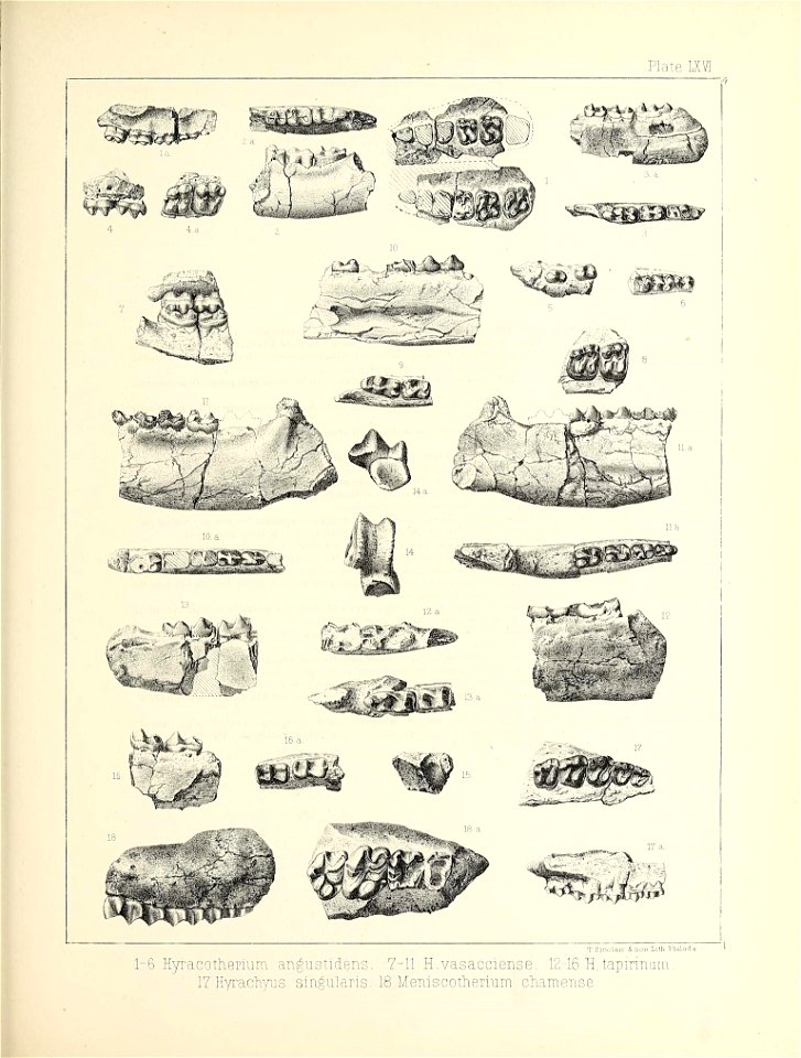 n576_w1150