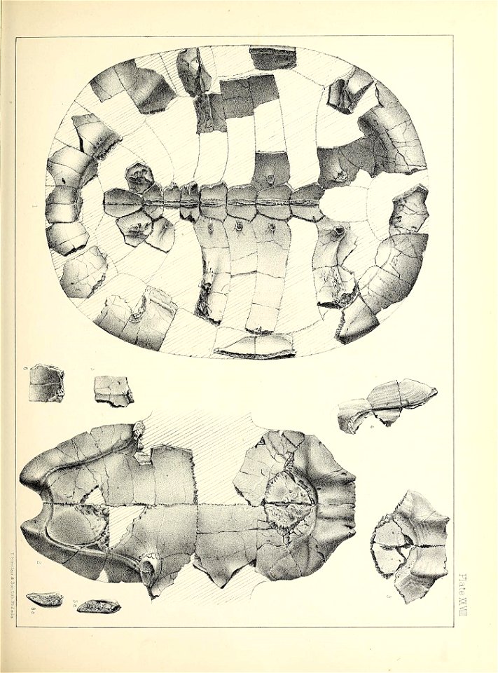 n424_w1150