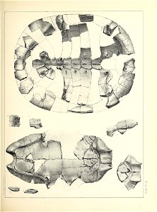 n424_w1150