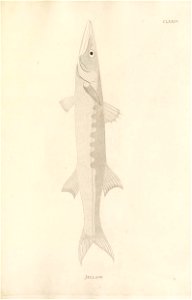 n474_w1150